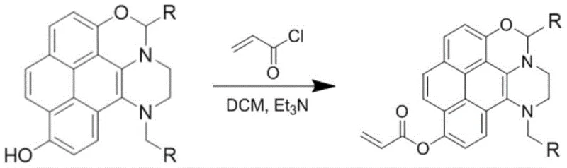 Chemical modification of the fluorescent core with acryloyl chloride to generate enhanced molecular probes