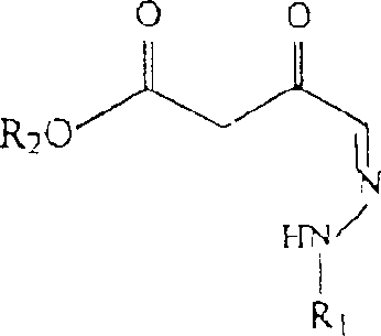 Reaction scheme showing the synthesis of hydrazone beta-ketoesters from hydrazone aldehydes and diazo esters using Lewis acid catalysis