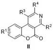 General structural formula of pyridine[3,4-c]coumarin derivatives showing variable substitution patterns