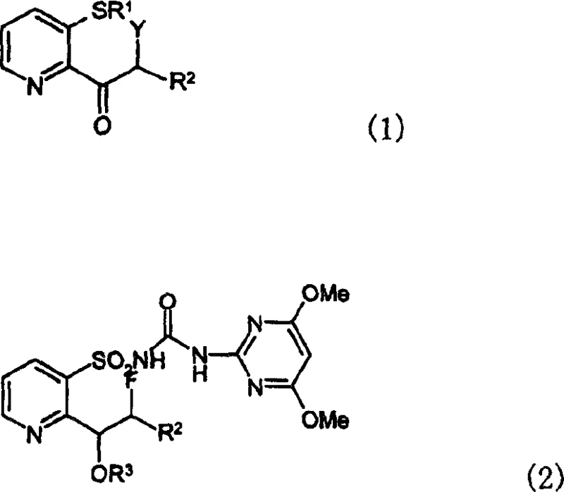 General Formula 1 showing the novel pyridine derivative structure with variable R and Y groups