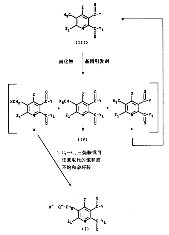 Flow Process I showing halogenation and quaternization steps
