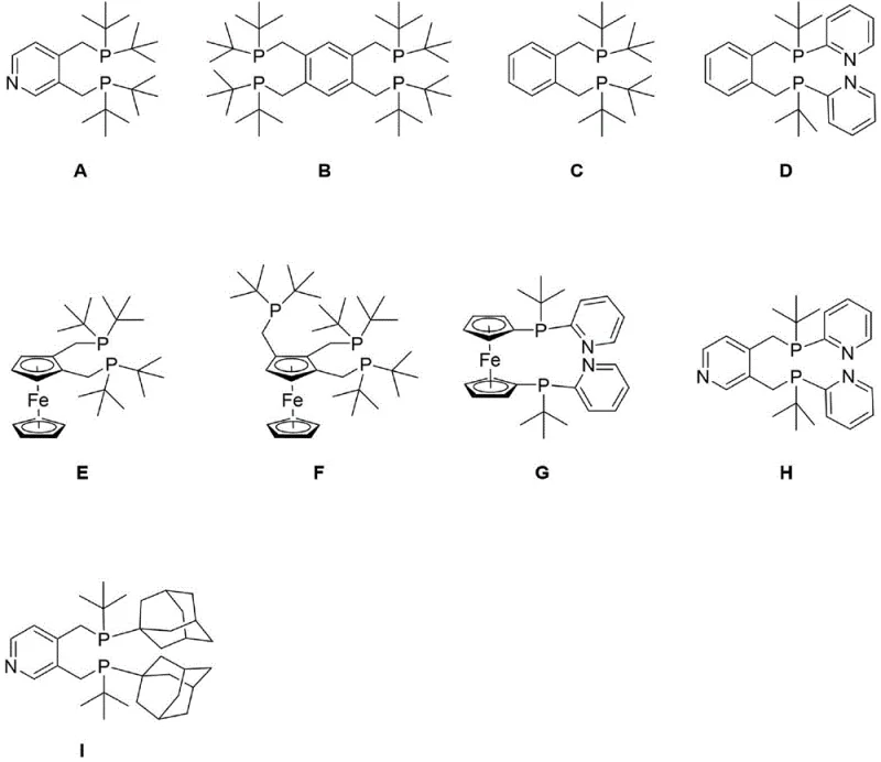 Chemical structures of ligands A through I used in comparative catalytic testing