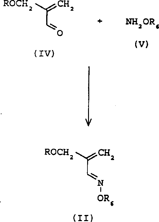 Flowchart I showing the preparation of the oxime intermediate from 2-alkoxymethacrolein and hydroxylamine