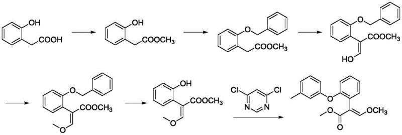 Prior art synthesis route showing complex protection steps