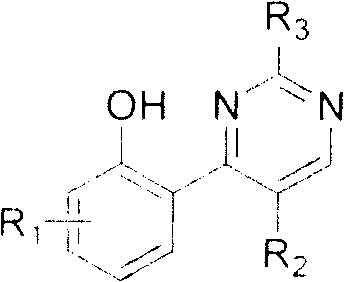 General structural formula of novel 2,4,5-substituted pyrimidine compounds showing variable R groups