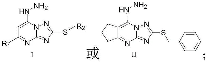 General structural formulas I and II of pyrimido[1,2,4]-triazole hydrazine compounds showing variable R1 and R2 substituents
