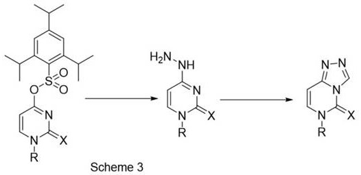 Novel synthesis scheme showing mild room temperature cyclization with formic acid