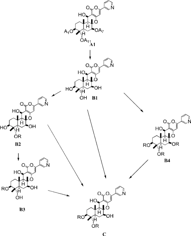 Overall reaction scheme showing the conversion of Compound A1 to B1 and subsequently to Compound C via various intermediates