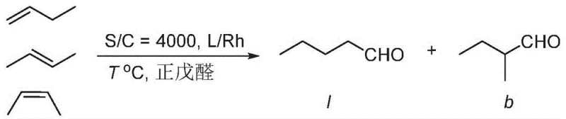 Hydroformylation reaction scheme showing conversion of olefins to aldehydes using the synthesized ligands