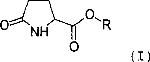 General reaction scheme for the enzymatic synthesis of pyroglutamic acid esters showing Formula I, II, and III