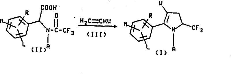 General synthesis scheme of pyrroline intermediates from amino acid precursors