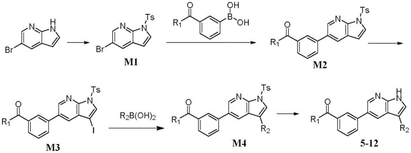General synthetic route for compounds 5-12 involving protection, Suzuki coupling, iodination, and deprotection steps
