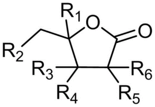 General formula of substituted butyrolactone electrophiles showing variable R groups for diverse analog synthesis