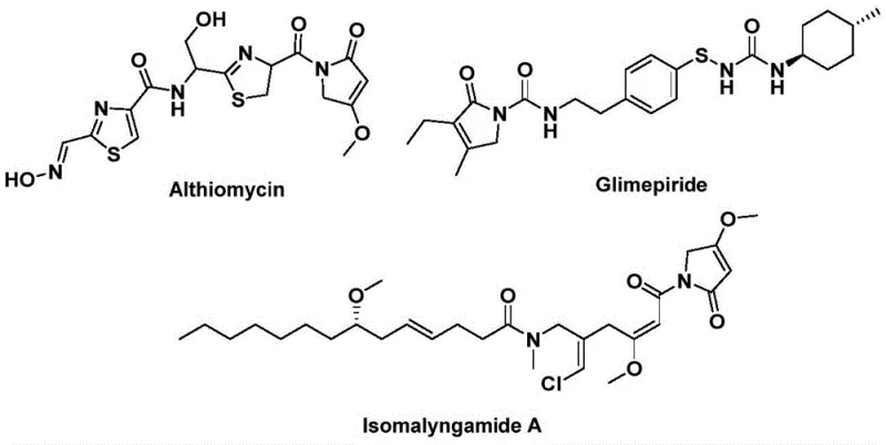 Bioactive natural products containing pyrrolone scaffolds including Althiomycin and Glimepiride