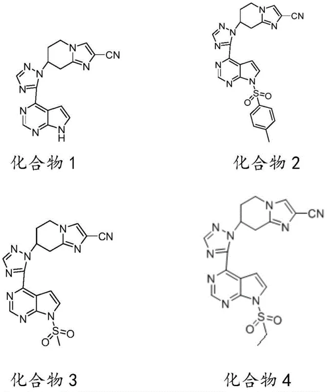 Chemical structures of final Compounds 1-4 showing diverse R groups
