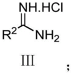 Structure of R2 substituted amidine hydrochloride reactant