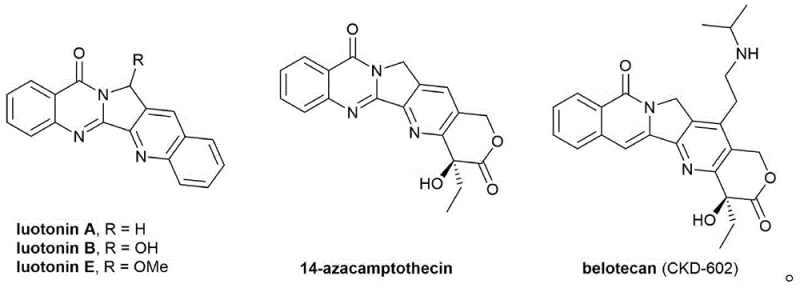 Chemical structures of bioactive isoindolo[1,2-b]quinazolin-10(12H)-one derivatives including Luotonin A, B, E, 14-azacamptothecin, and Belotecan