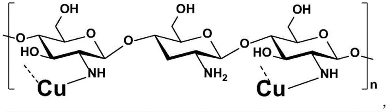 Structure of chitosan-loaded copper catalyst showing coordination sites