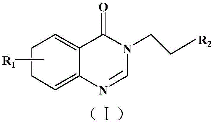 General chemical structure of the novel quinazolinone compounds defined in patent CN111116552B