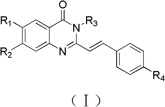 General structural formula of quinazolone derivatives showing variable R groups for medicinal chemistry optimization