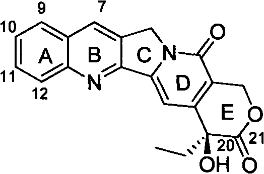 Chemical structure of Camptothecin showing the pentacyclic ring system