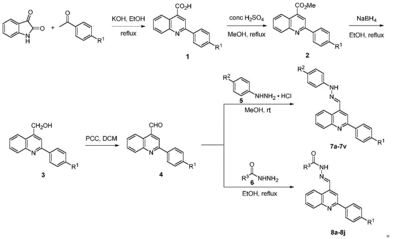 Complete synthetic route for quinoline-substituted Schiff base derivatives showing key intermediates