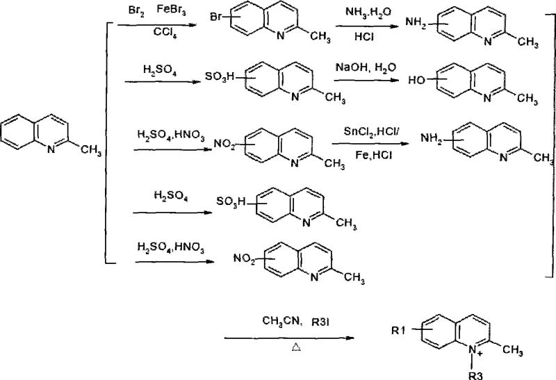 Reaction pathway for the preparation of quinoline quaternary ammonium salt from substituted 2-methylquinoline