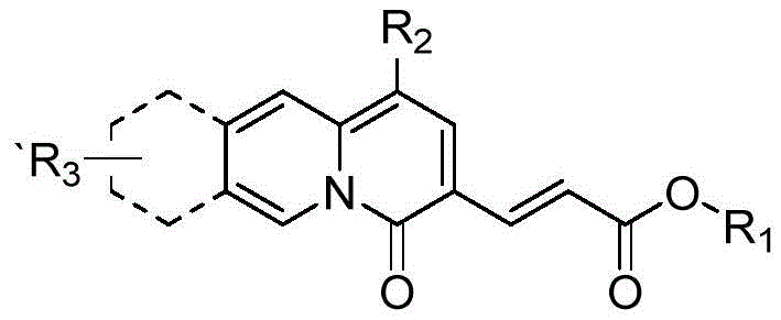 General molecular structure of the novel quinolizinone compounds showing variable R groups