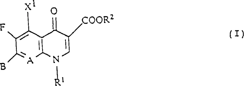 General Formula I of novel quinolone and naphthyridonecarboxylic acid derivatives showing bicyclic amido substitution