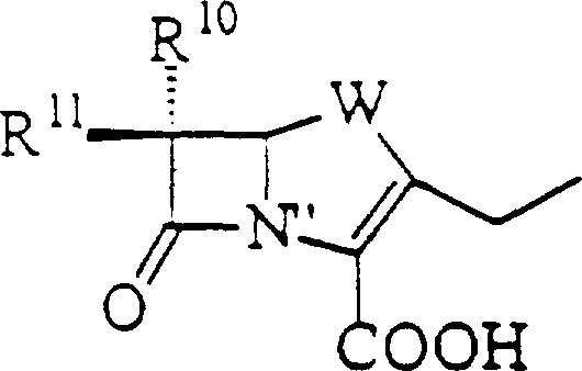 Structural diversity of compatible lactam moieties including penems and carbapenems