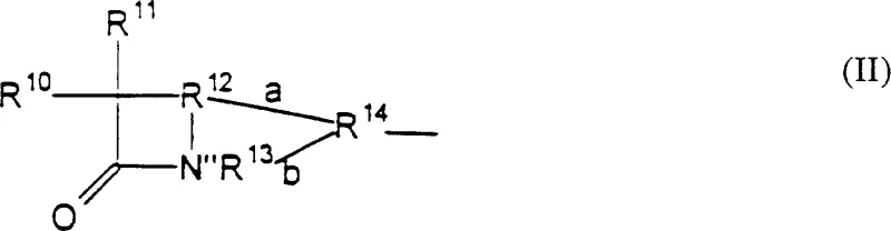 General structural formula of the lactam moiety (Formula II) detailing the beta-lactam ring system and variable side chains R10 to R14