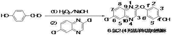 Reaction scheme showing the one-pot conversion of p-hydroxybenzaldehyde to 6-chloro-2-(4-hydroxyphenoxy)quinoxaline via in-situ hydroquinone formation