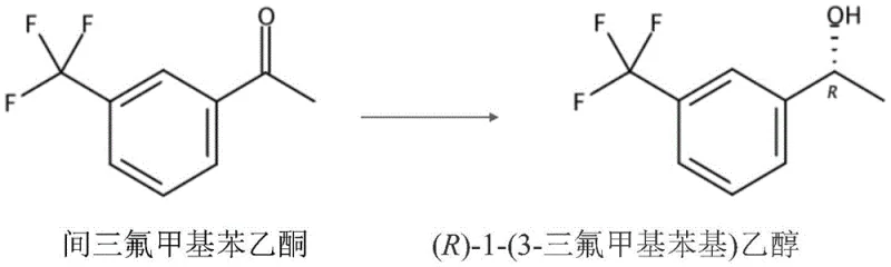 Chemical reaction scheme showing the biocatalytic asymmetric reduction of m-trifluoromethylacetophenone to (R)-1-(3-trifluoromethylphenyl) ethanol using recombinant E. coli