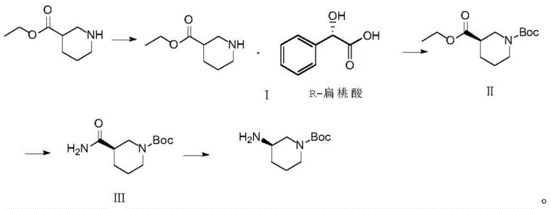 Reaction scheme showing the four-step synthesis of (R)-1-Boc-3-aminopiperidine from ethyl 3-piperidinecarboxylate via chiral resolution and Hofmann degradation