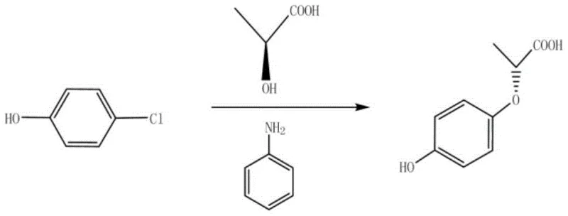 Main reaction equation showing the formation of R-(+)-2-(4-hydroxyphenoxy)propionic acid from p-chlorophenol