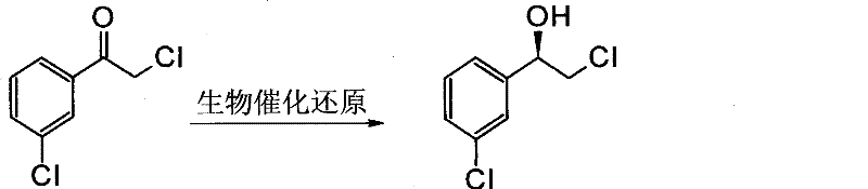Biocatalytic reduction reaction scheme converting ketone to chiral alcohol