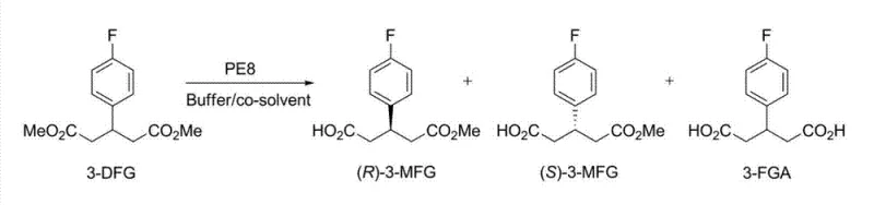 Reaction scheme showing PE8 catalyzed hydrolysis of 3-DFG to (R)-3-MFG
