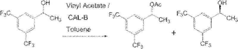 Conventional lipase-catalyzed kinetic resolution of racemic alcohol using Vinyl Acetate and CAL-B