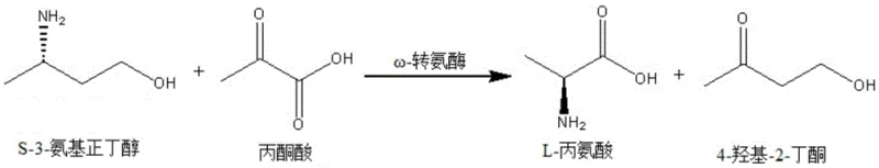 Reaction scheme showing omega-transaminase catalyzed kinetic resolution of S-3-aminobutanol with pyruvic acid to produce L-alanine and leave R-3-aminobutanol
