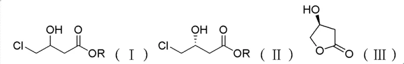 Reaction scheme showing the asymmetric transformation of racemic substrate into R-ester and S-lactone products