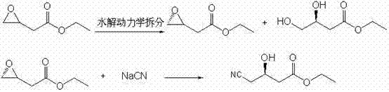 Reaction scheme showing hydrolytic kinetic resolution of ethyl epoxybutyrate followed by aqueous cyanation to form the chiral nitrile intermediate