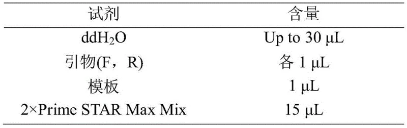 Schematic diagram of asymmetric synthesis of (R)-citronellal by biological enzymatic method using OYE3-Mut