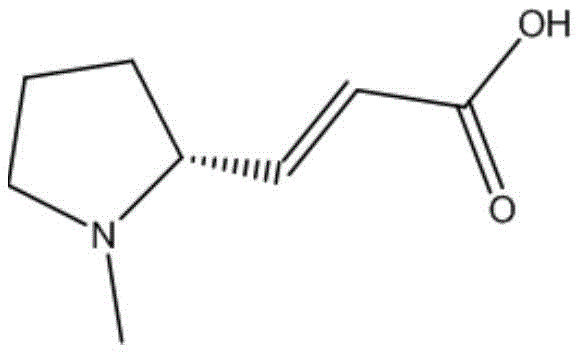 Chemical structure of (R, E)-(1-methylpyrrolidin-2-yl)acrylic acid, a key Pyrotinib intermediate