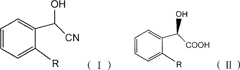 General reaction scheme showing the biocatalytic conversion of racemic mandelonitrile to R-mandelic acid using nitrilase