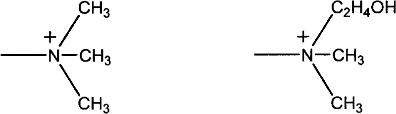 Chemical structures of Type I and Type II strong basic anion exchange resin functional groups
