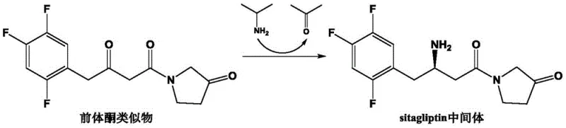 Biocatalytic conversion of precursor ketone analog to sitagliptin intermediate using engineered transaminase