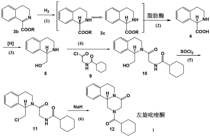 Novel enzymatic synthetic route for (R)-praziquantel showing dynamic kinetic resolution
