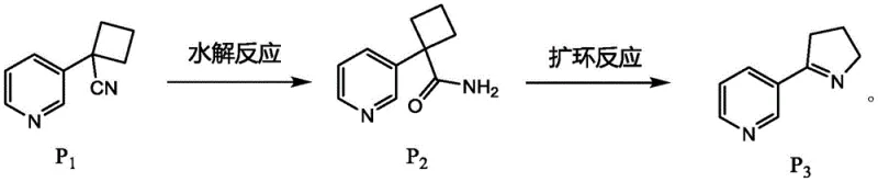 Core synthetic route showing hydrolysis and ring expansion from P1 to P3