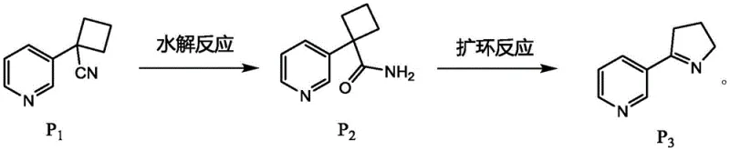 Core synthetic route from Compound P1 to P3 via hydrolysis and ring expansion