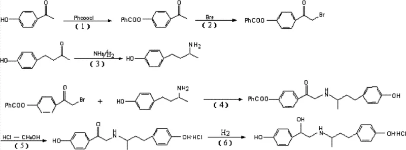 Full synthetic route of Ractopamine showing ester protection and catalytic hydrogenation steps